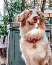 Cargar imagen en el visor de la galería, Baloo tag