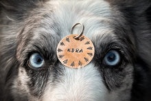 Cargar imagen en el visor de la galería, Ambar tag