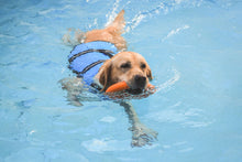 Cargar imagen en el visor de la galería, "Perro jugando con disco volador amarillo resistente"