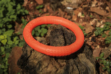 Cargar imagen en el visor de la galería, Disco Volador para Perro