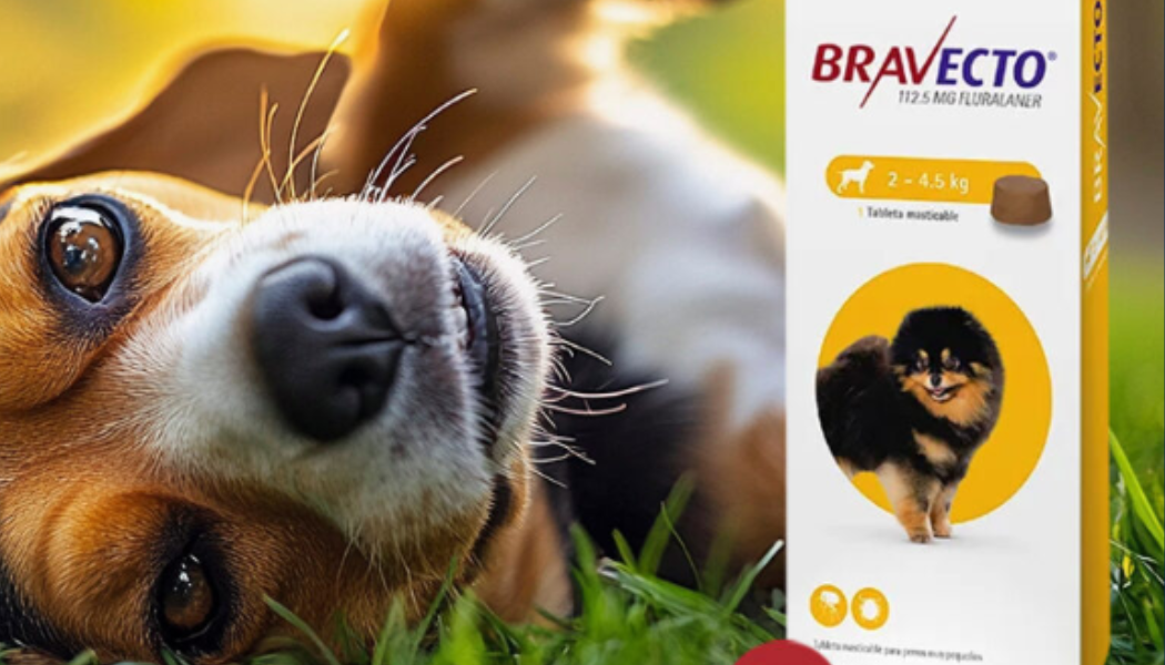 ¿Cada cuánto se da Bravecto a los perros? Guía completa en México