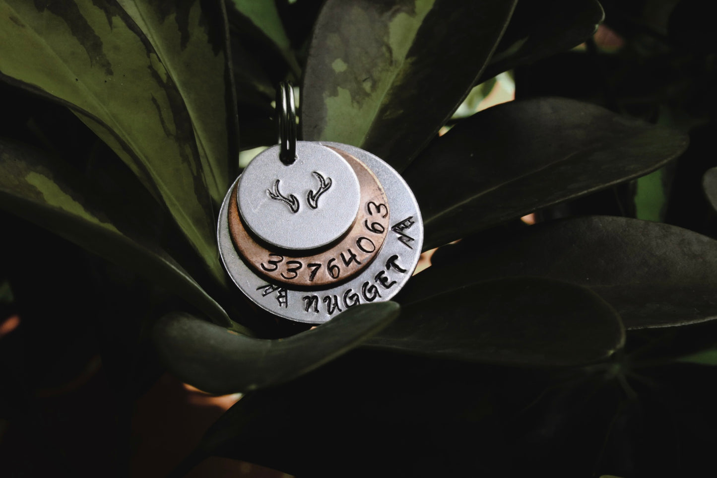 Nugget tag