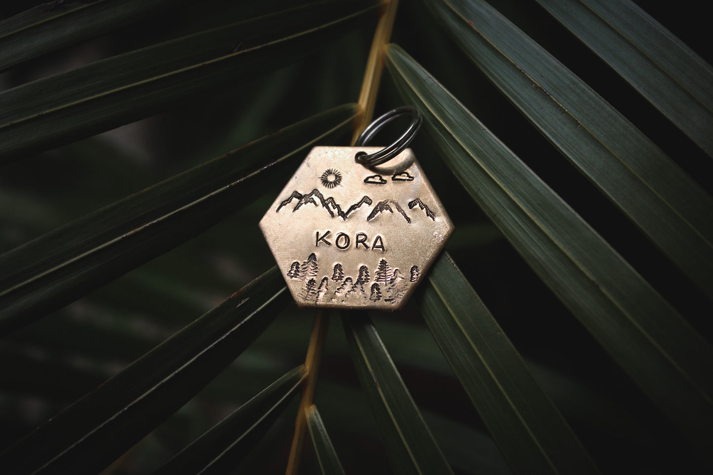 Kora tag