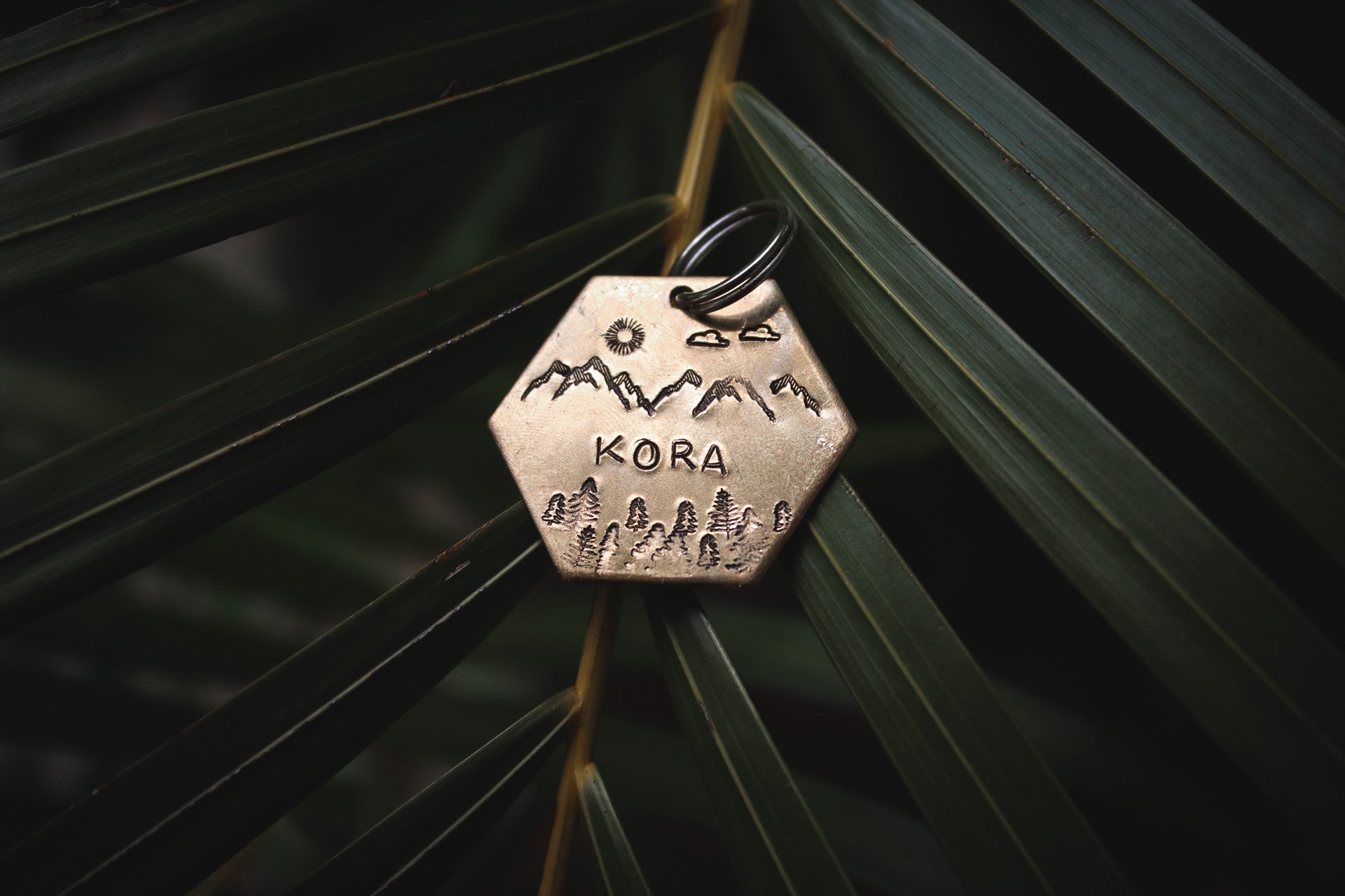 Kora tag
