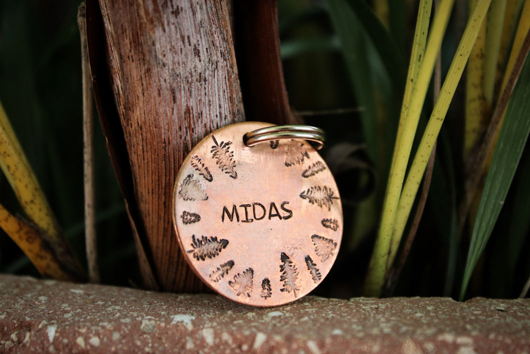 Midas tag