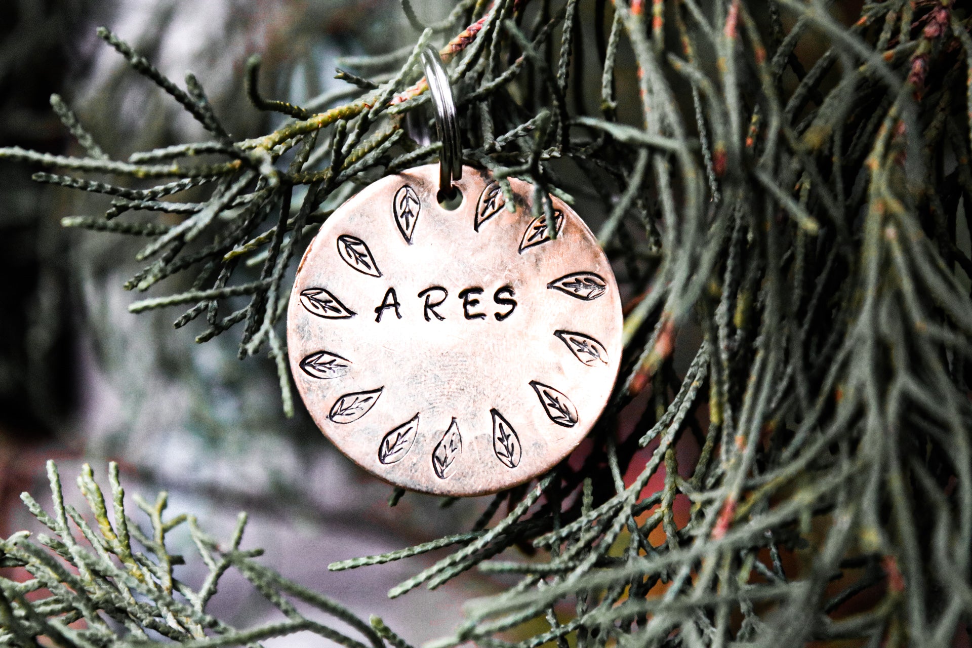 Ares tag
