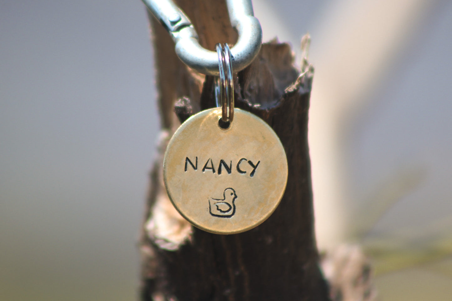 Nancy tag