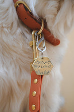 Cargar imagen en el visor de la galería, Aleu tag
