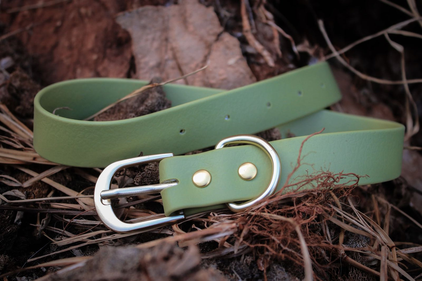 Collar de perro verde en cuero resistente | Wild Paws MX