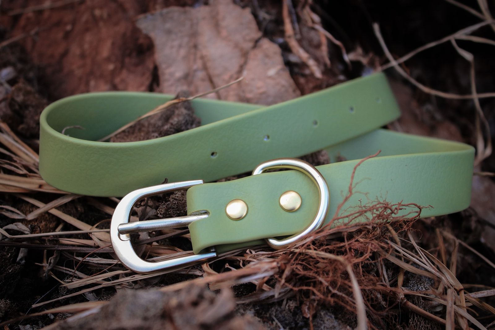 Collar de perro verde en cuero resistente | Wild Paws MX
