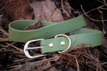 Cargar imagen en el visor de la galería, Collar de perro verde en cuero resistente | Wild Paws MX
