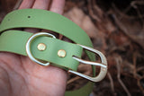 Collar de biothane verde