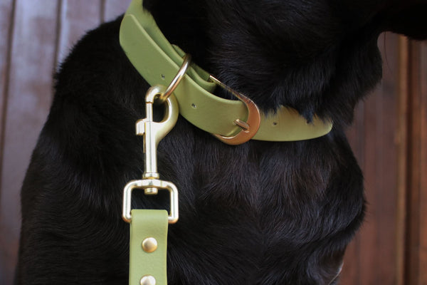 Collar de biothane verde hover