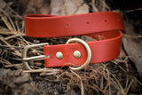 Collar de biothane rojo