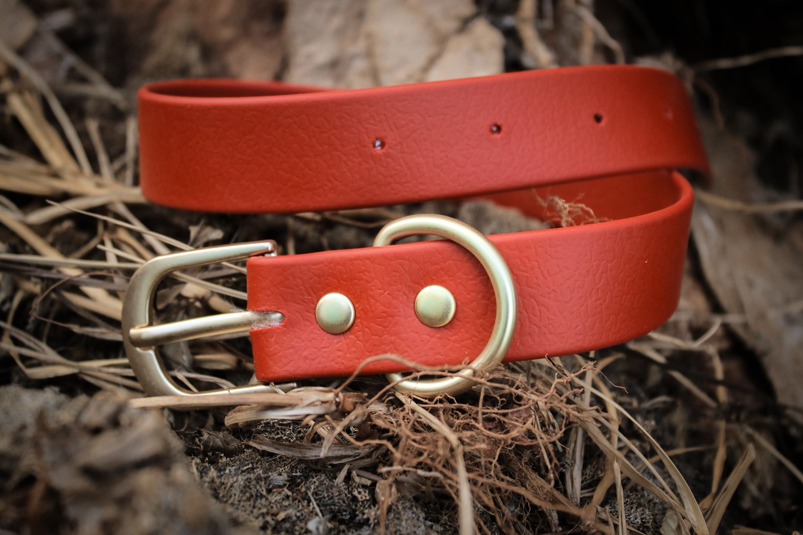Collar de biothane rojo