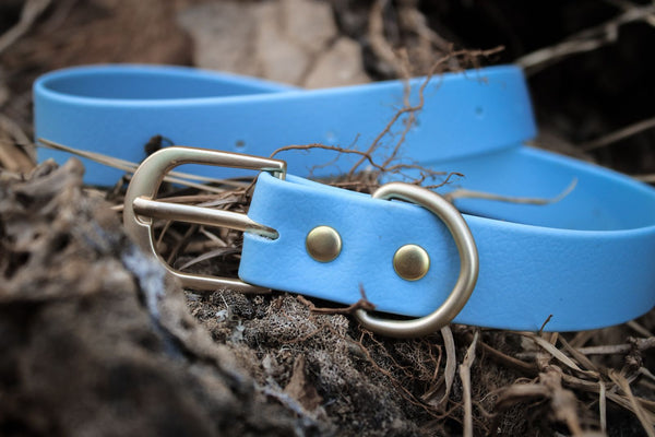 Collar de biothane azul