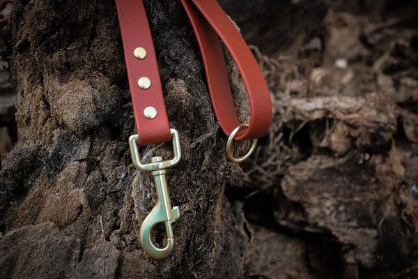 Correa de Biothane hover