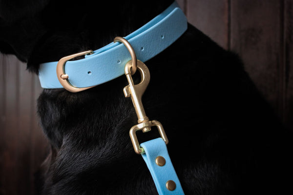 Collar de biothane azul hover