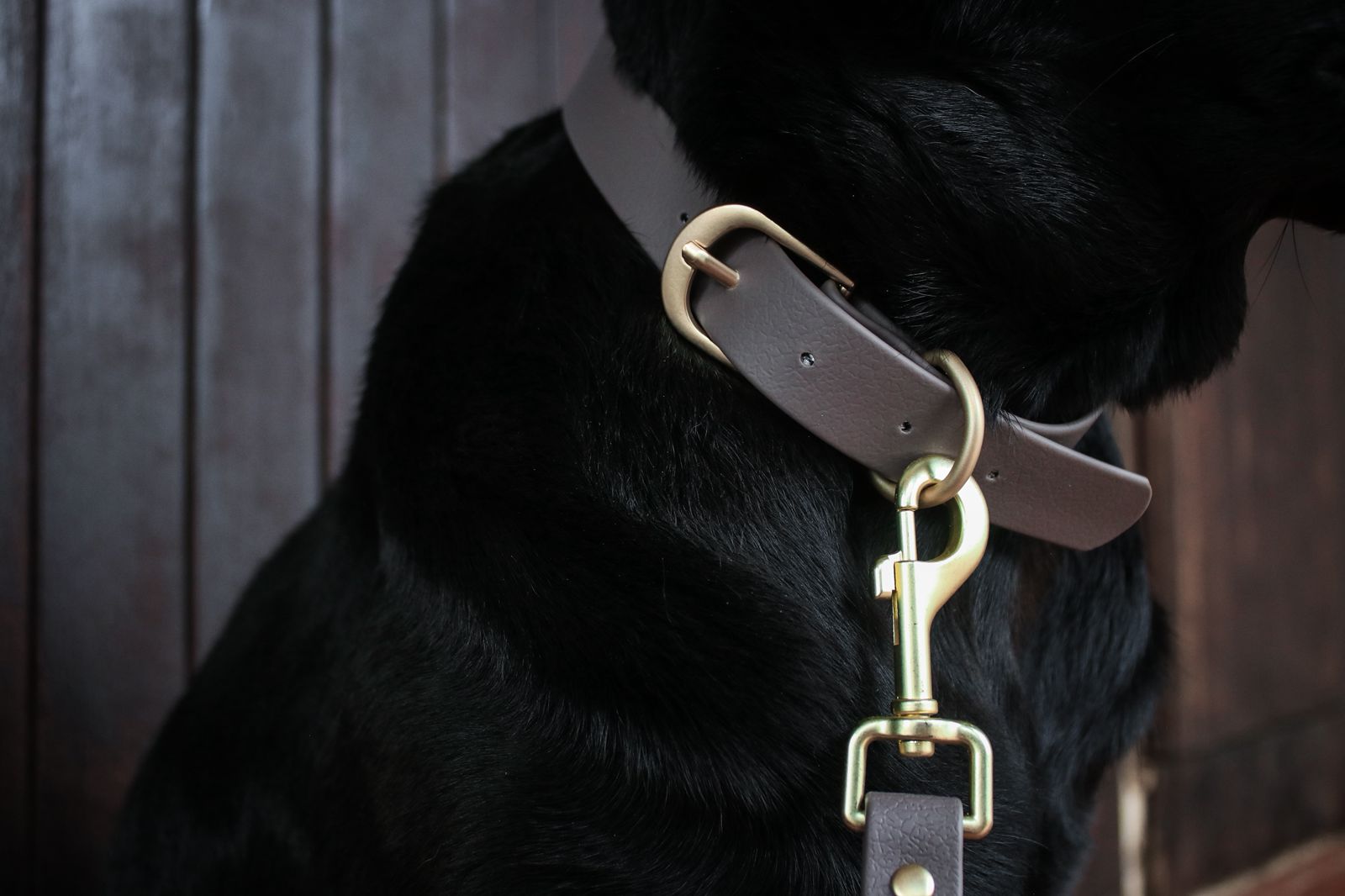 Collar de biothane marron