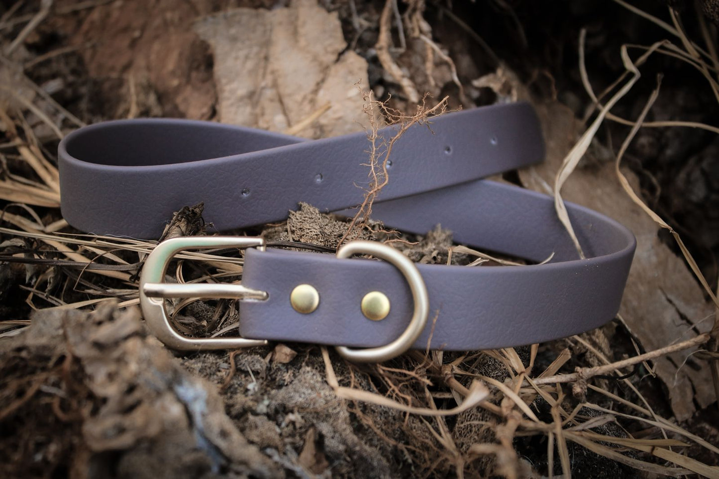 Collar de perro marron en biothane elegante | Wild Paws MX