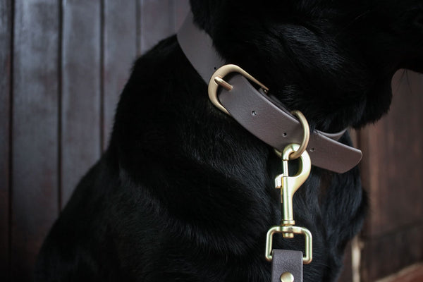Collar de biothane marron hover