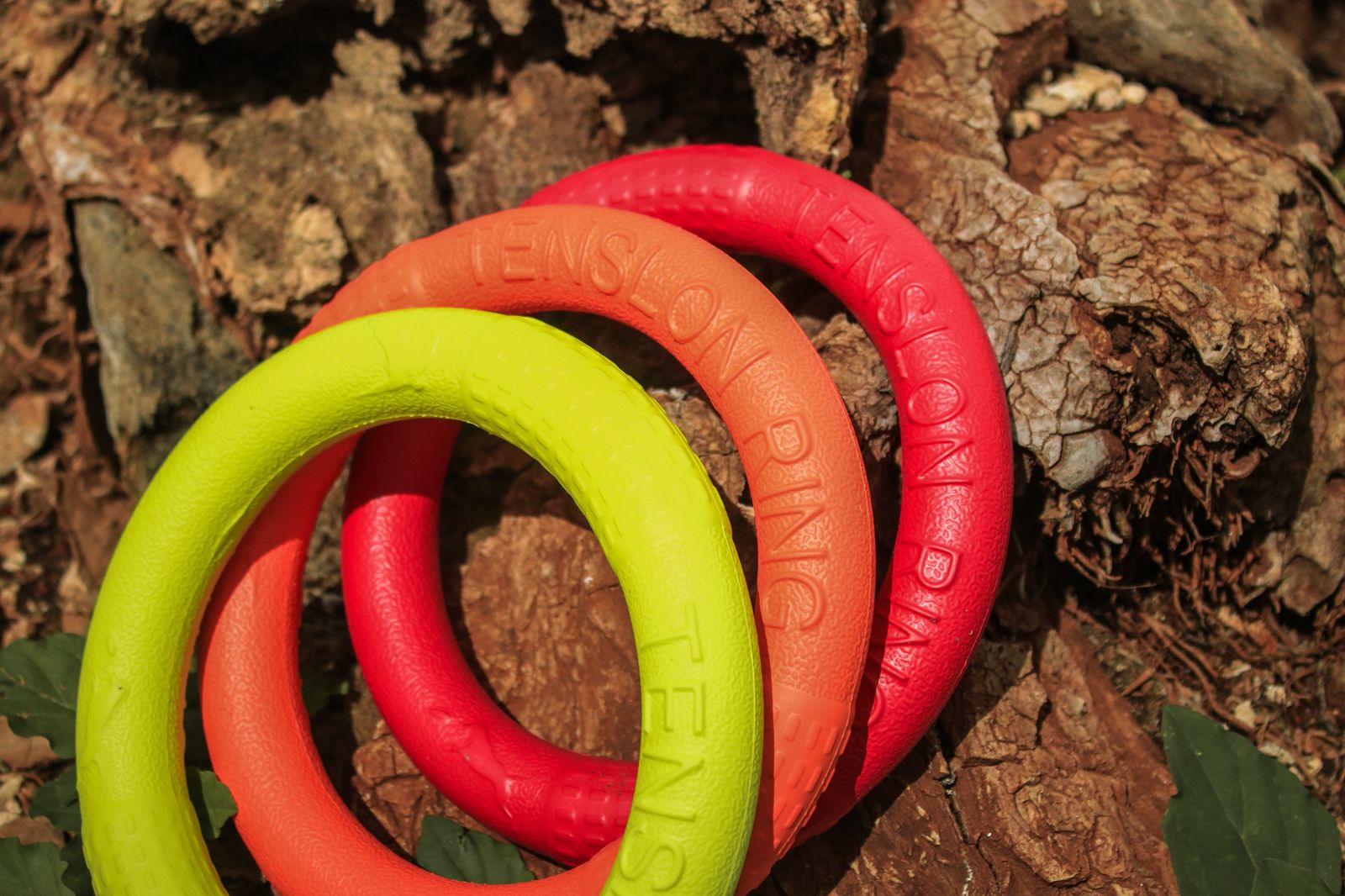 Disco Volador para Perro