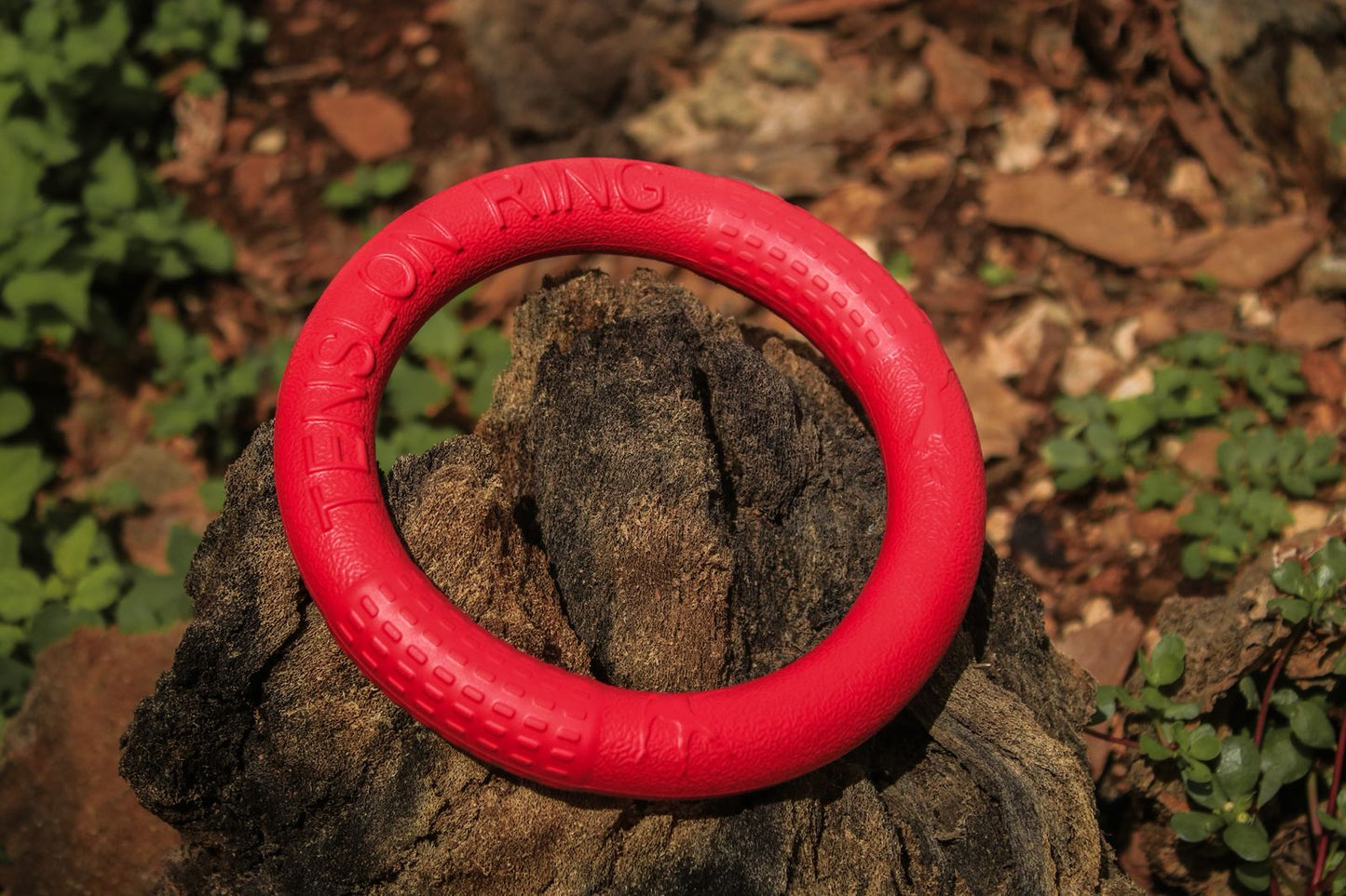 Disco Volador para Perro