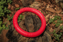 Cargar imagen en el visor de la galería, Disco Volador para Perro
