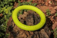 Cargar imagen en el visor de la galería, Disco Volador para Perro
