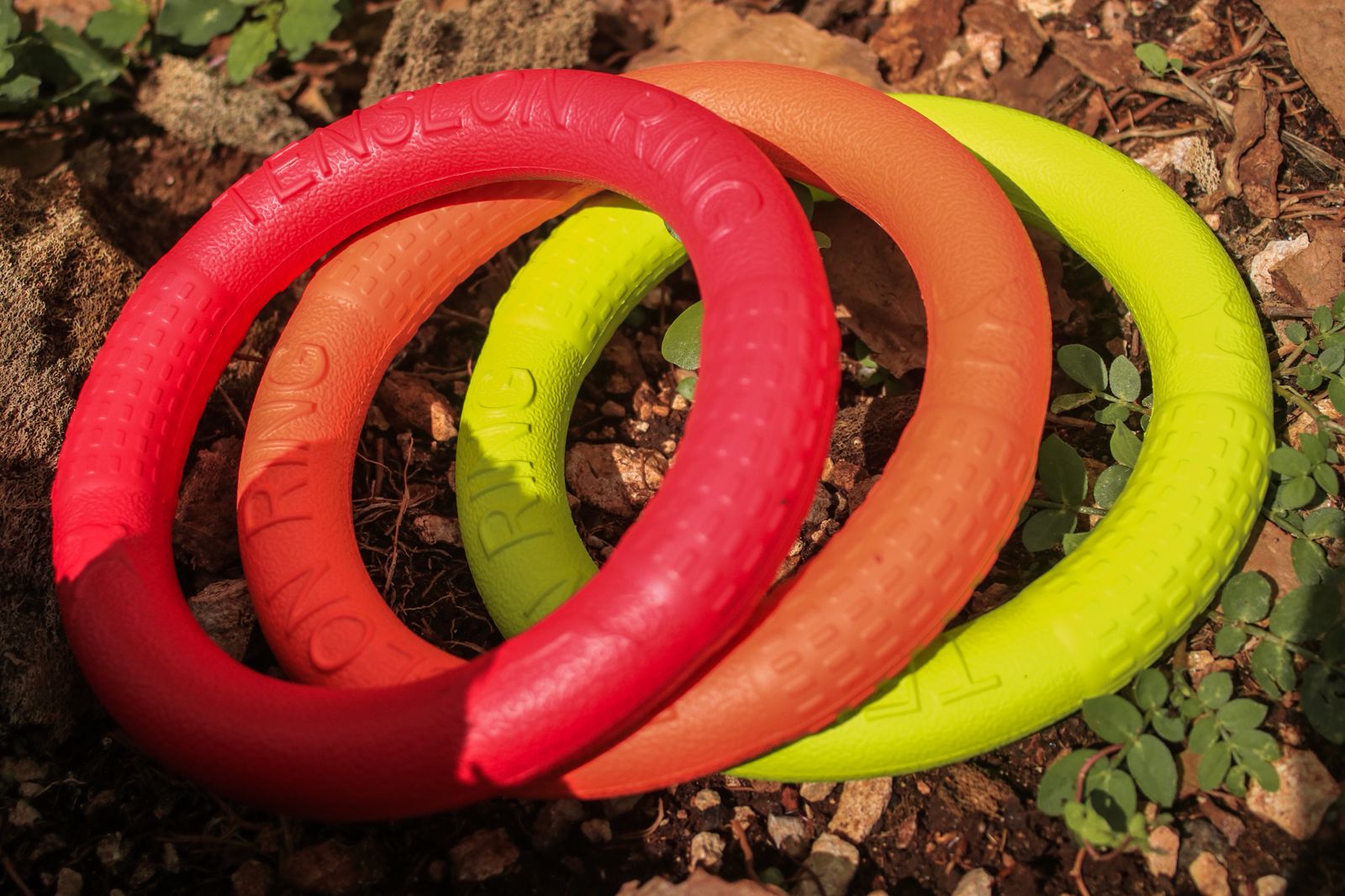 Disco Volador para Perro