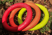 Cargar imagen en el visor de la galería, Disco Volador para Perro
