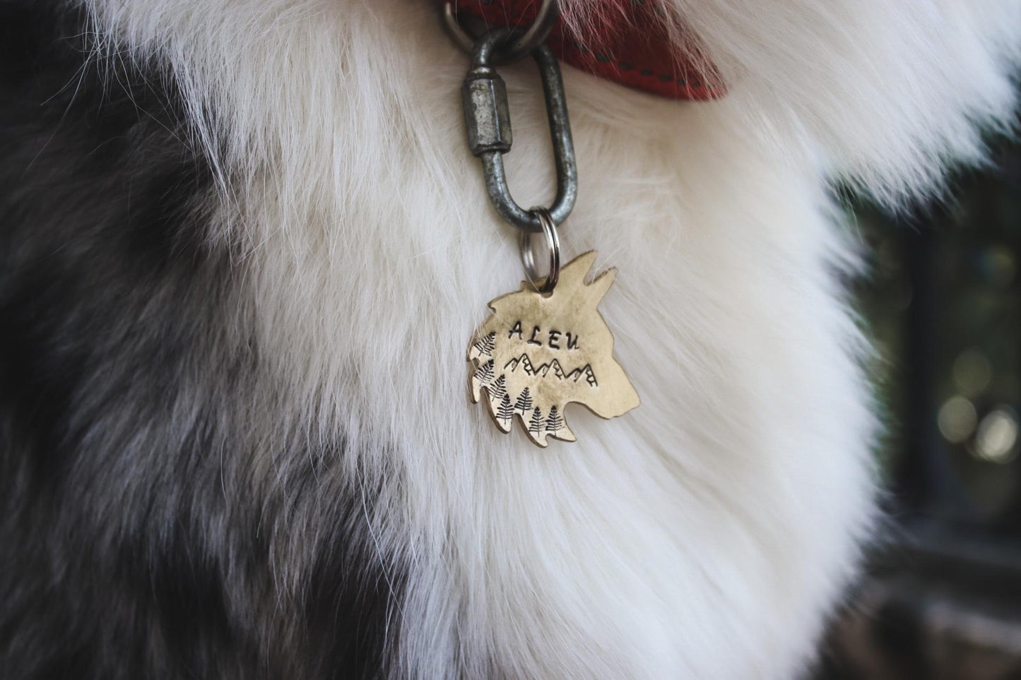 Wolf tag
