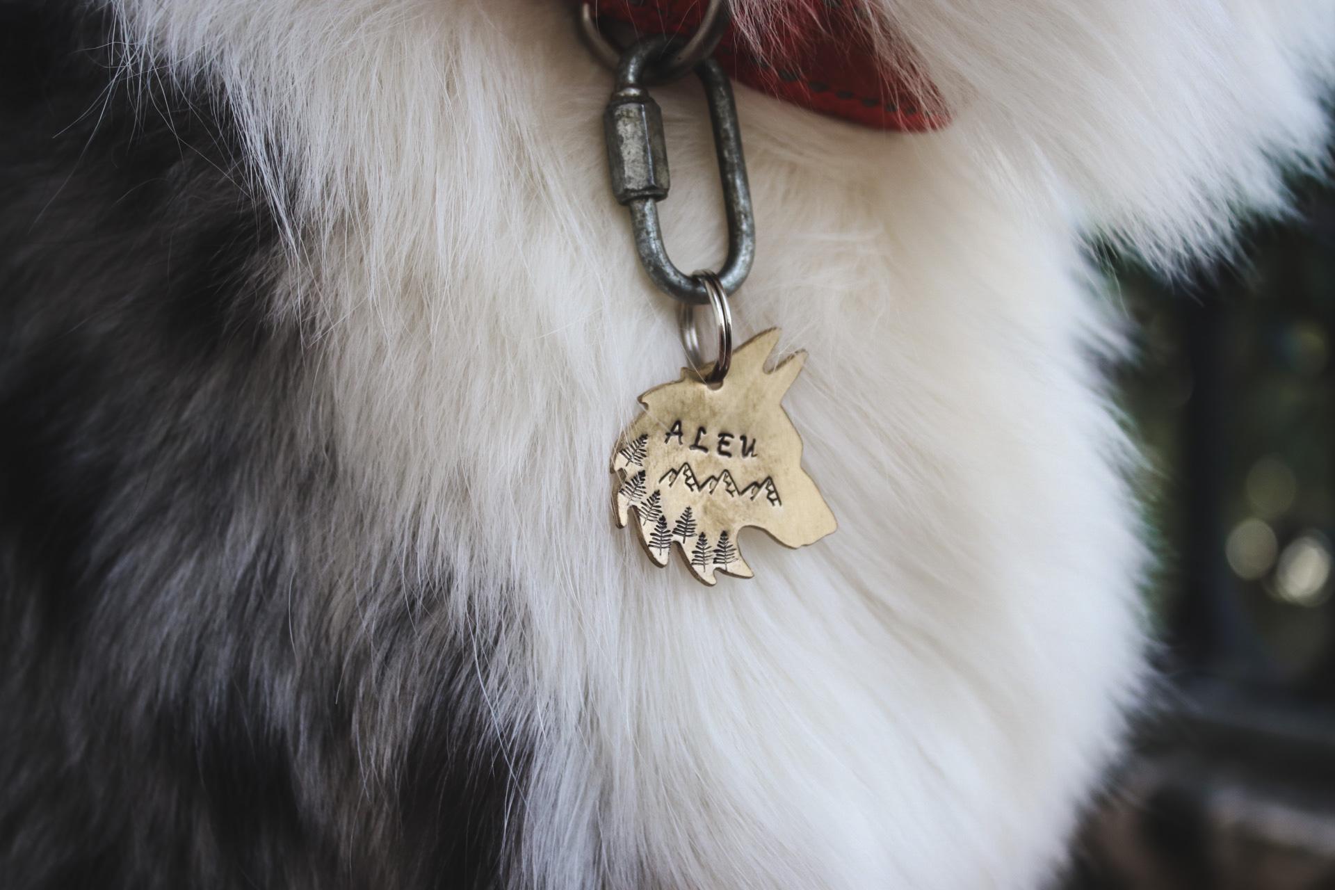 Wolf tag