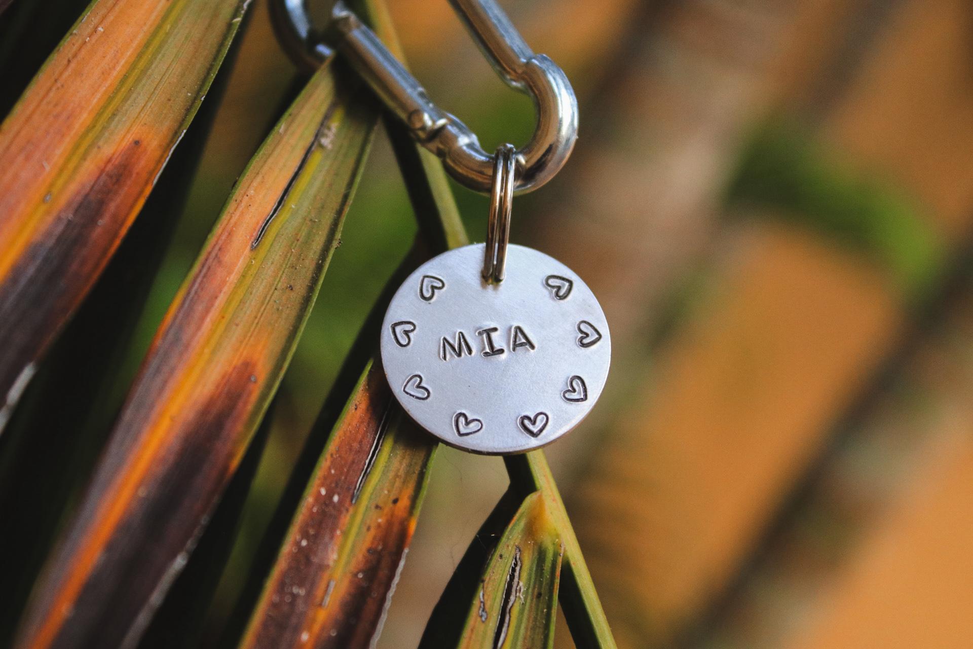 Mini tag