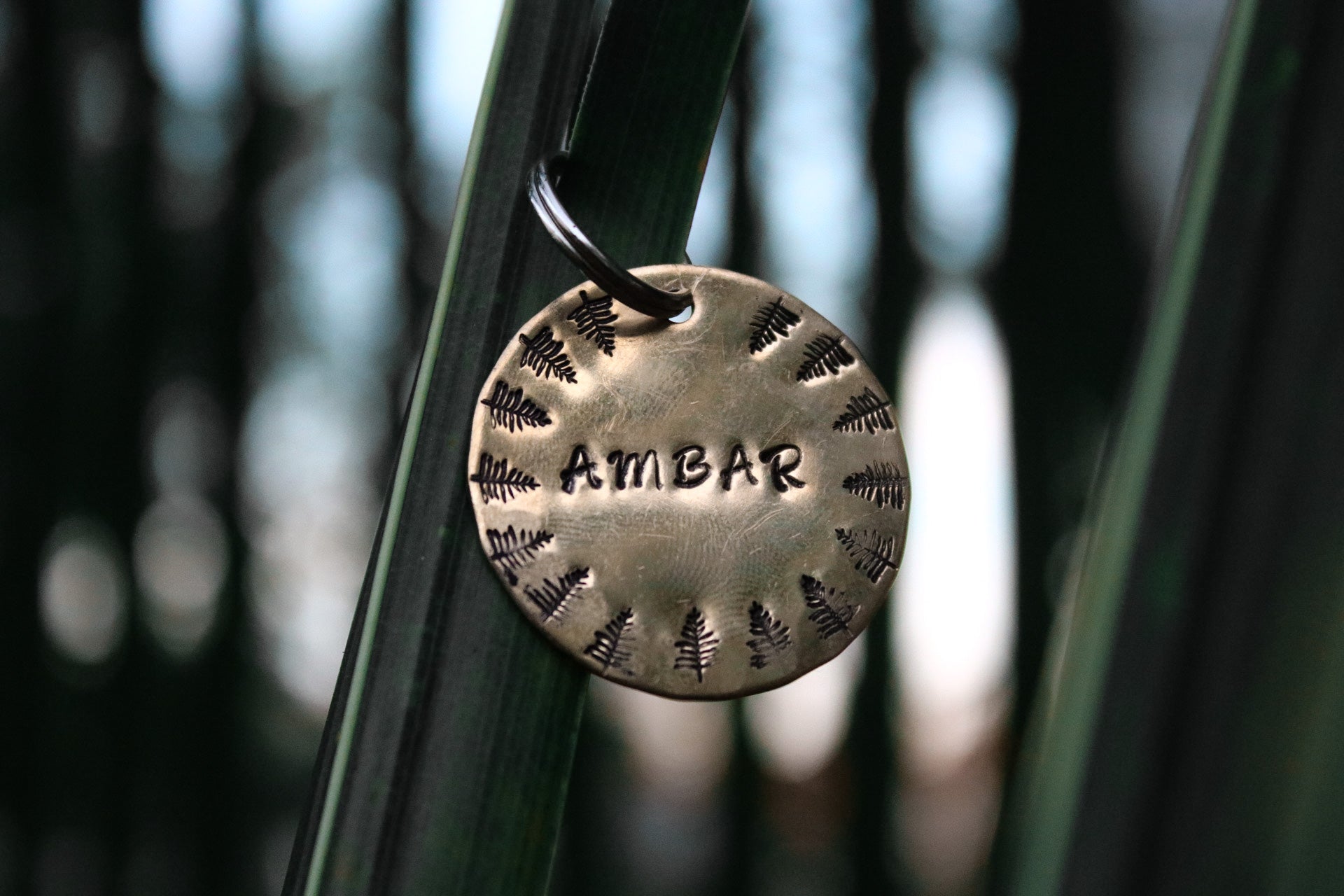 Ambar tag